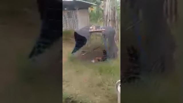 Livestream tayo saglit guys August 7 tara Lets go guys!