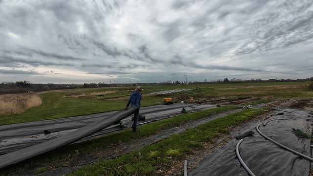 #4 Planting Perennials, Mowing Cover Crop, Laying Fabric, Rain and Wind - My Flower Farm