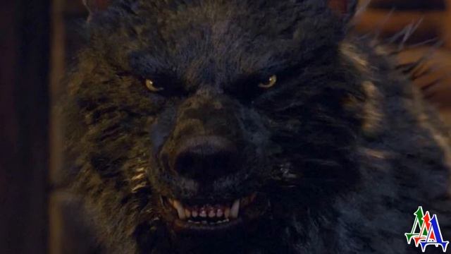 Роксана и Кот 7. «Ведьма! Это же оборотень! Ты кого в дом притащила? Ты что, опять?» - Зашипел Кот смотреть онлайн