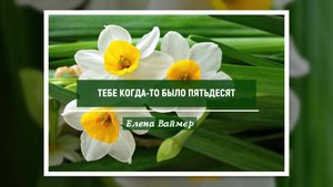 Тебе когда-то было пятьдесят. Елена Ваймер на стихи Анны Бовель