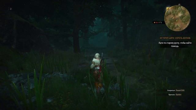 Прохождение игры The Witcher 3: Wild Hunt от Boble смотреть онлайн