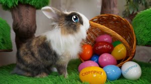 ОГРОМНАЯ РАСПАКОВКА ПАСХАЛЬНЫХ ЯИЦ! ЧЕЛЛЕНДЖ КРОЛИК БАФФИ для КОТА МАЛЫША, КОШКИ МУРКИ и ПУПСИ