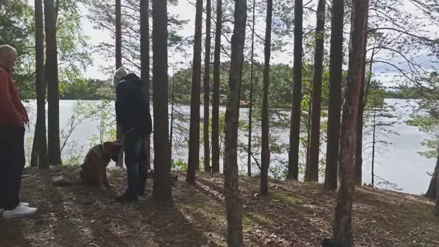 Diving camp in Vennukanniemi & Verlan mökit - Finland - by lol2o