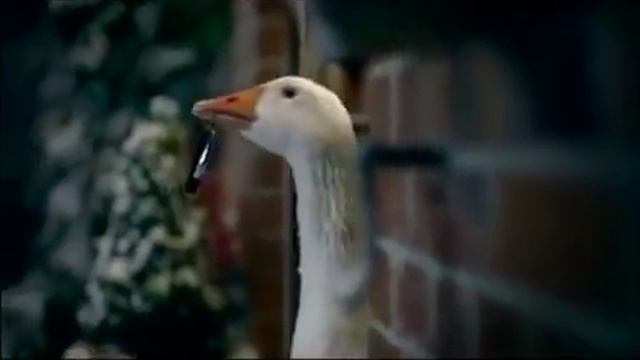 [Funny!!!] Mercedes Benz - Merry Christmas (The Goose) - 2010 смотреть онлайн