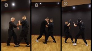 Техника Вин Чун. Боевое искусство Вечная Весна.