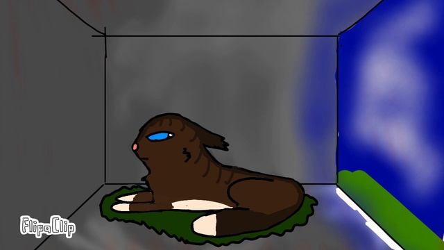 MAP "Ego" Part 5@Кот Бегемот смотреть онлайн