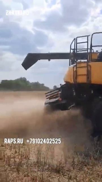 Рапсовый стол, Жатка для рапса