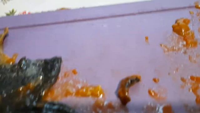 Килька в томате смотреть онлайн