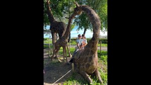 #Парк. Оседлали жирафа в Иркутске в начале сентября. Влог