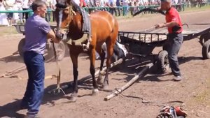 Сабантуй базарные Матаки 2019