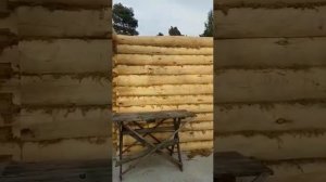 сруб бани из осины отзыв