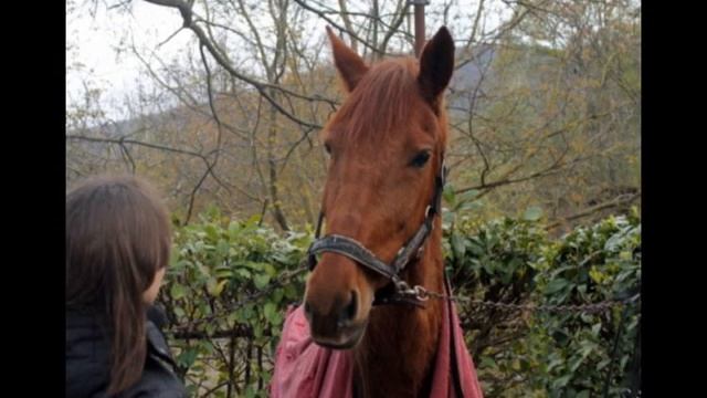 Wonderwall. смотреть онлайн