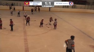 Весенний турнир по хоккею с шайбой "KIMRY CUP" среди команд 2012 г.р. ХК Angry Birds - ХК Полет
