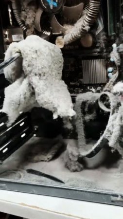 Не доводите до такого💀