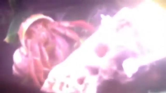 Discussion about Hypoaspis Miles ( Predatory Mites) смотреть онлайн