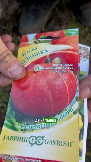 Какие овощи можно и нужно посеять в мае #сад #рассада #комнатныерастения #огород #сидераты #дача