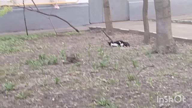 Добрый вечер