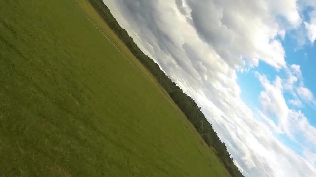 показательные осьмино смотреть онлайн