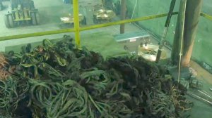 Производство медной катанки из лома. Все сгорит!