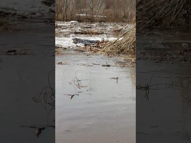 Паводок- ледоход 07.04.2019 на речушке Ашкадар.Часть 1 смотреть онлайн