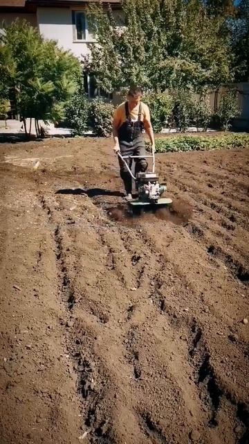 Как избавиться и вывести с огорода медведку смотреть онлайн