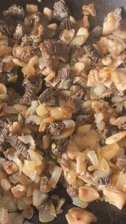 Сморчки