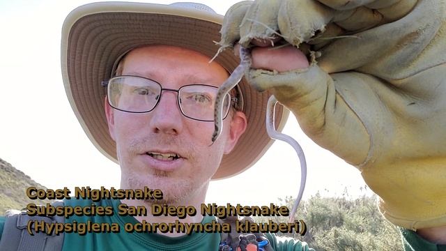 Vlog 11: February Herping 2022 - 27 Snakes!!! смотреть онлайн