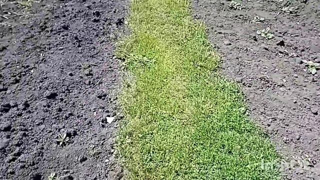 Всё как всегда, дела, дела/как живут в русской деревне... смотреть онлайн