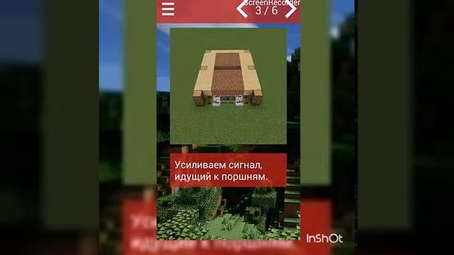 Ферма арбузов и тыкв.