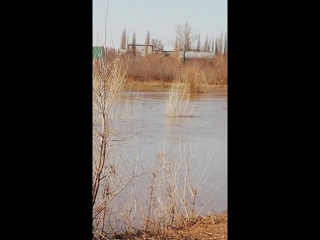 Вода поднимается. Паводок 12.04.2019 на речушке Ашкадар смотреть онлайн