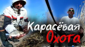 ПОСЛЕ ЭТОЙ РЫБАЛКИ БОЛЯТ РУКИ \\ Рыбалка на Бирле//Кривуши