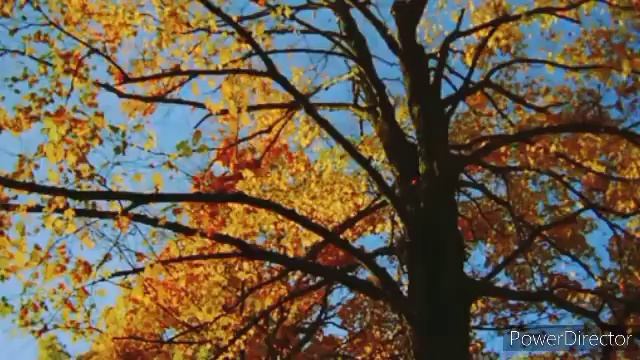 ХОЧИ МИРЗО | Хурдани занхои хомила дар Рамазон чоиз аст? смотреть онлайн