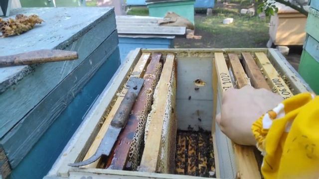 Подставляем вощину в ульи смотреть онлайн