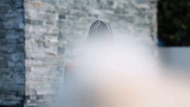 ARi SAM Vii - Живи (snippet) (Hannah Palmer) смотреть онлайн