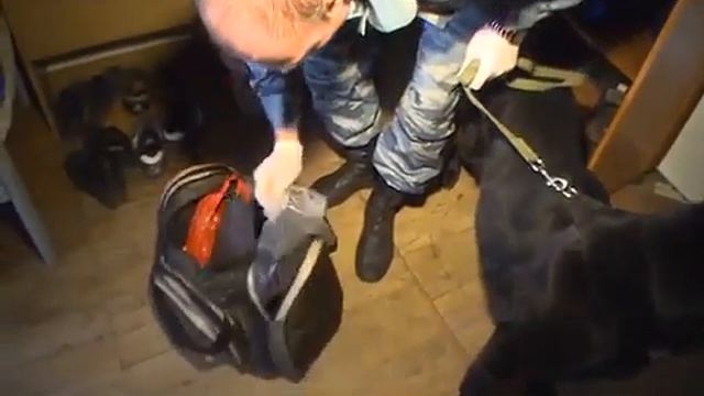 Прошёл первый этап акции Сообщи, где торгуют смертью Рен смотреть онлайн