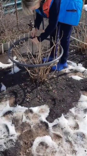 кустодержатель смотреть онлайн