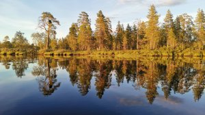 Карелия, просто Карелия, поиск Лося, Хариуса, Форели