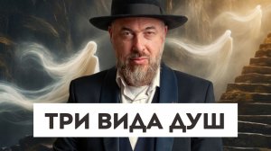 Почему у евреев 613 заповедей, а у других народов — 7?