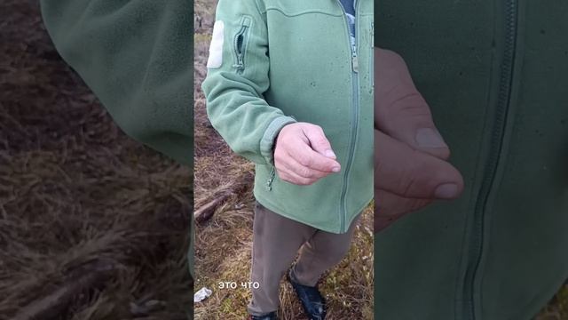 Важнейшая деловая поездка