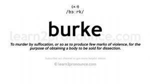 Pronunciation of Burke | Definition of Burke
