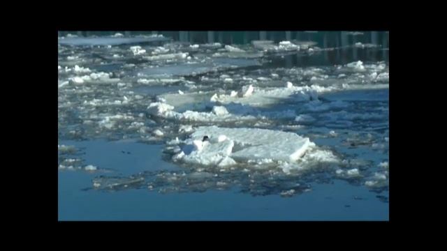 Нева - вороны на льдинах
