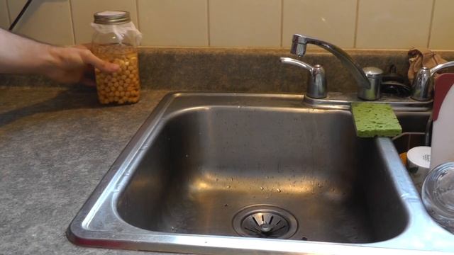 How to grow sprouts easily at home! смотреть онлайн