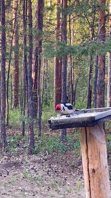 4 апреля 2023 г. смотреть онлайн