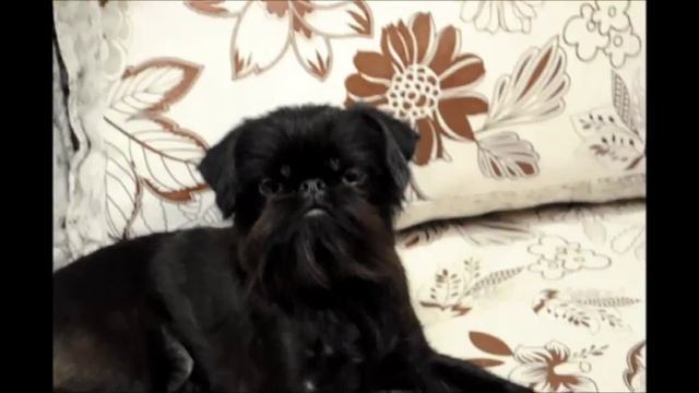 Дарьяна 11 мес смотреть онлайн