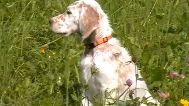 Finik two month old смотреть онлайн