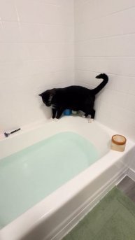 My Silly Boy Boots fell into the bath