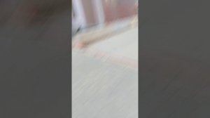 1000025119.mp4