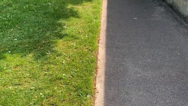 Castleknock Biodiversity Place Mapping June 2020 смотреть онлайн