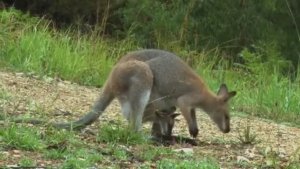 9 Упражнения которые работают__Барбара Онил