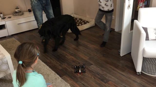 GEILES SPIELZEUG! Ein fliegendes Auto | Syma X9 Drone 😍  mit Lulu & Leon - Family and Fun